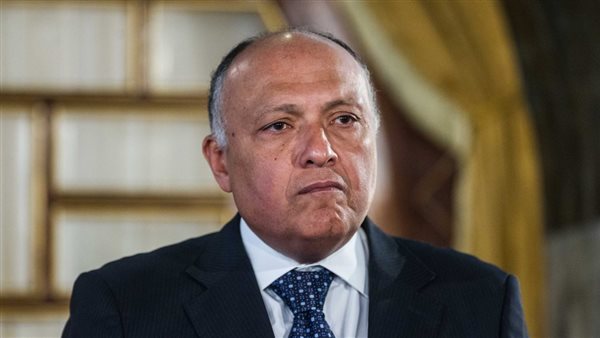 سامح شكري وزير الخارجية