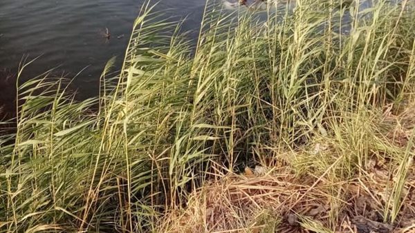 انقلاب ميكروباص ارشيفية