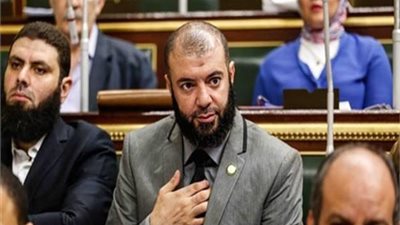 برلماني: البحث العلمي في مصر يعاني من حرج شديد بسبب ضعف الاعتمادات المالية