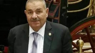 برلماني يطالب بتثبيت العاملين على الصناديق الخاصة وزيادة ميزانية المحليات