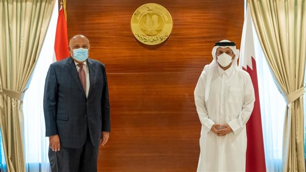 سامح شكري ونظيره