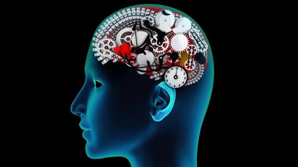 ذاكرة الإنسان