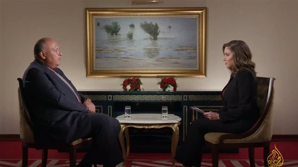 سامح شكري وزير الخارجية