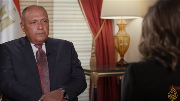 سامح شكري وزير الخارجية