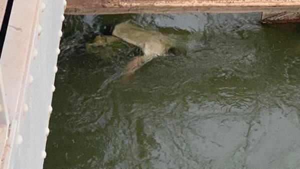 جثة (أرشيفية)