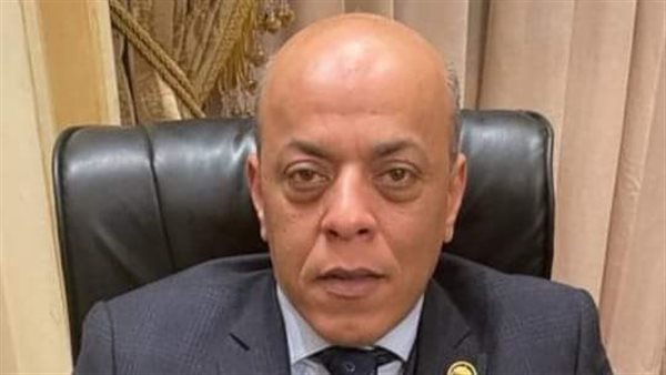 النائب مصطفى محمود