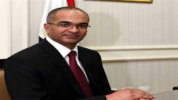 د. سيد إسماعيل نائب