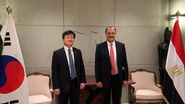 السفير المصري في