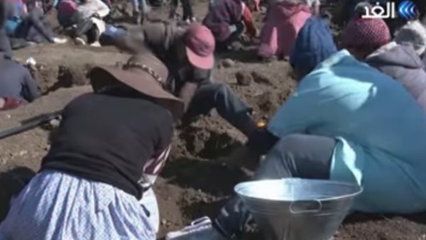 كنز جنوب افريقيا