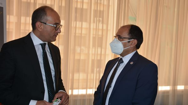 أيمن الأفندي ووكيل