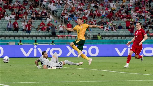 تركيا وويلز