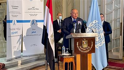 وزير الخارجية يؤكد التزام مصر بالتعاون مع الشركاء لتدعيم أسس الاستقرار والسلام حول العالم