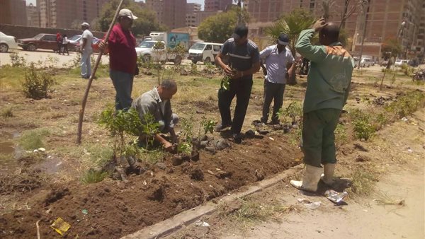 حي المرج يزرع فلفل