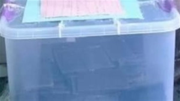 مخدر الحشيش