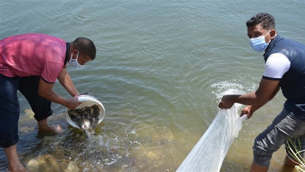 الثروة السمكية