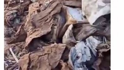 استخراج أكفان الموتى من مقابر شبين الكوم بالمنوفية.. ومصدر: الجاني مريض نفسيًّا (فيديو)