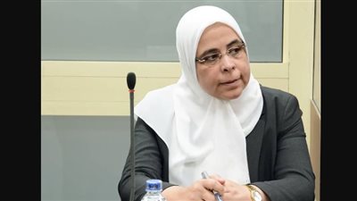 تنمية الصادرات: دعم شحن الصادرات لتنزانيا بنسبة 100%.. و25% لأوروبا والولايات المتحدة