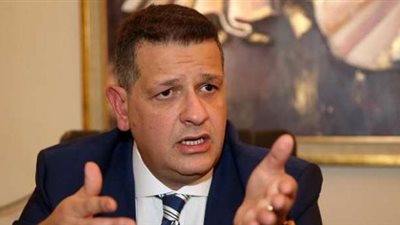 حقوق الإنسان في البرلمان: تصريحات ألمانيا بشأن محاكمة متهمين تدخل سافر في الشأن المصري وغير مقبول