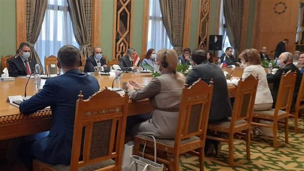 مشاورات مصرية روسية