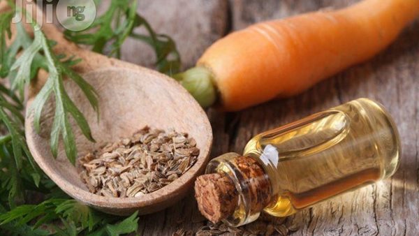 زيت بذور الجزر