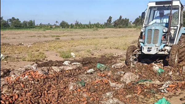 إعدام مخلل وملح فاسد