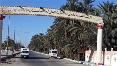 ننشر صور 3 أشقاء لقوا مصرعهم على يد والدتهم بأسوان