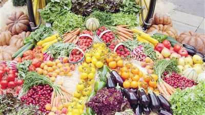 الزراعة: مصر متربعة على عرش الصادرات لعدد كبير من المحاصيل