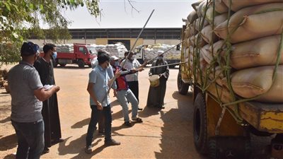 توريد 150 ألفًا و389 طن قمح لصوامع وشون أسيوط 