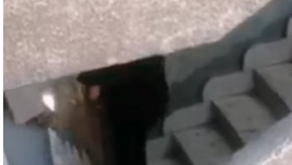 سيدة السلام 