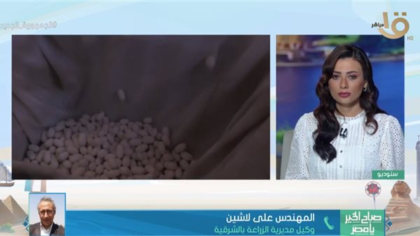 المهندس علي لاشين