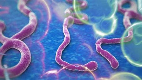 فيروس الإيبولا