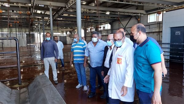 المجزر الآلي ببورسعيد