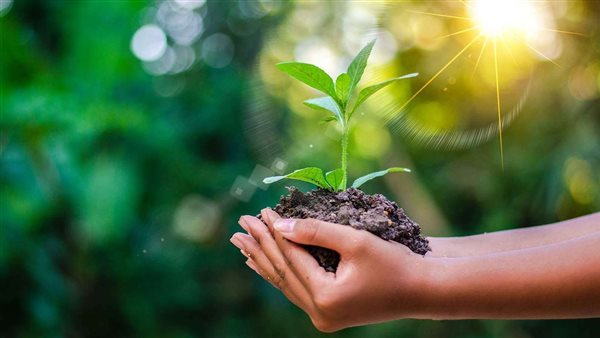 الحفاط على البيئة