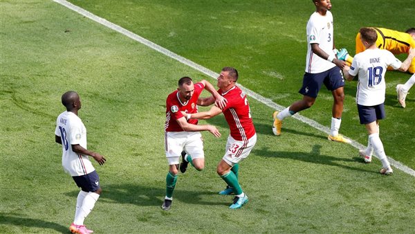 فرحة لاعبي المجر