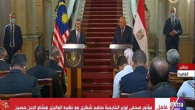 وزير الخارجية: قضية سد النهضة وجودية بالنسبة لمصر 