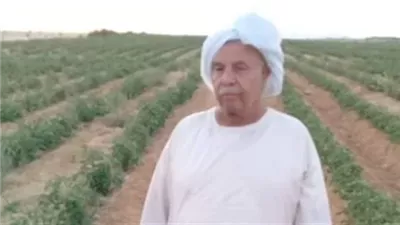 الإعدام لـ 12 متهما في إنهاء حياة صاحب محل الفقير 