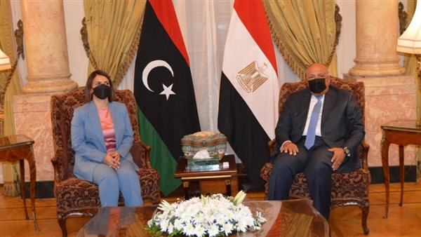 سامح شكري مع وزيرة