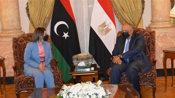 سامح شكري مع وزيرة