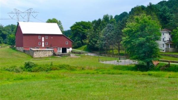 صورة تعبيرية