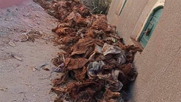 مقابر شبين الكوم