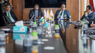 لجذب الاستثمار الخارجي..مطالب بوجود وجود كيان أساسي يضم شركات التسويق العقاري