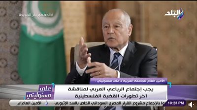 أبو الغيط: المبعوث الأوروبي ليس لديه حل للقضية الفلسطينية