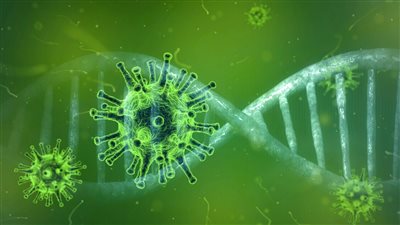 بعد ظهورها مؤخرًا.. معلومات عن سلالة 