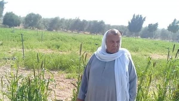 رجل الأعمال حمادة