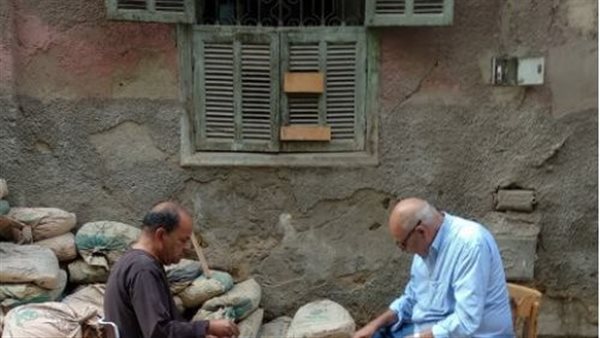 الحياة في مصر