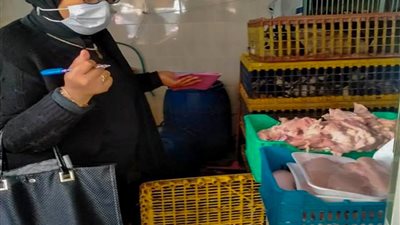 تحرير 16 محضر ذبح خارج المجازر العمومية بالإسكندرية