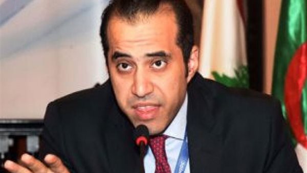 المستشار محمود فوزي