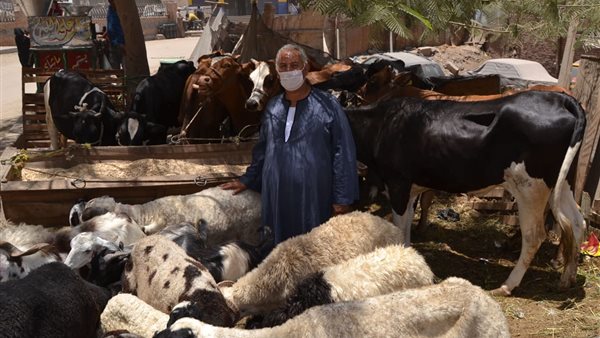 شوادر الماشية