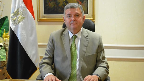 وزير قطاع الأعمال