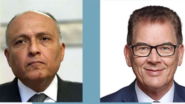 سامح شكري ووزير التعاون